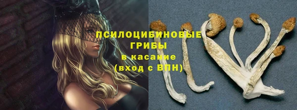 не бодяженный Верхний Тагил