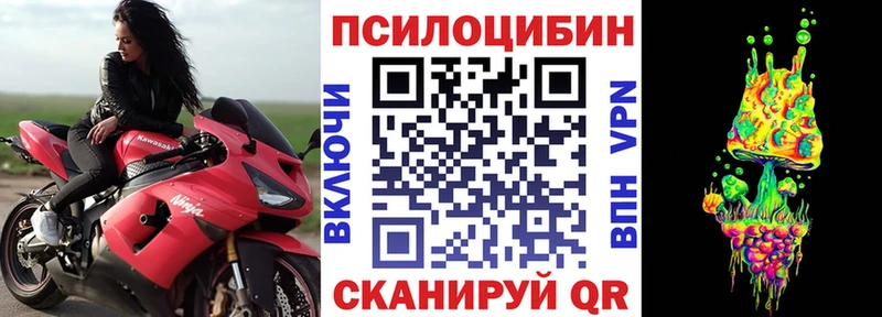 Псилоцибиновые грибы Psilocybine cubensis  Славянск-на-Кубани 