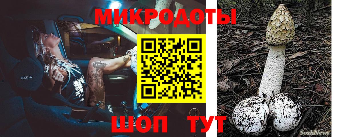 Славянск-на-Кубани  Псилоцибиновые грибы Magic Shrooms  Вход с VPN 